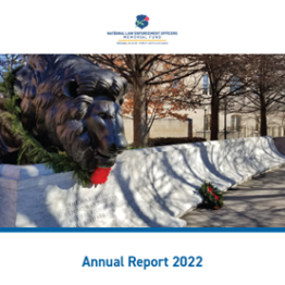 2022 Annual Report_FINAL2