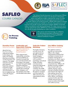 SAFLEO Course Catalog